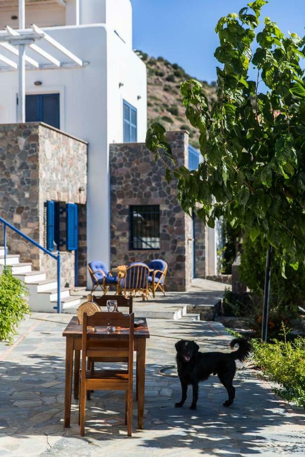 Villa Euphoria In Aegina, A' Marathonas Bay Ngoại thất bức ảnh